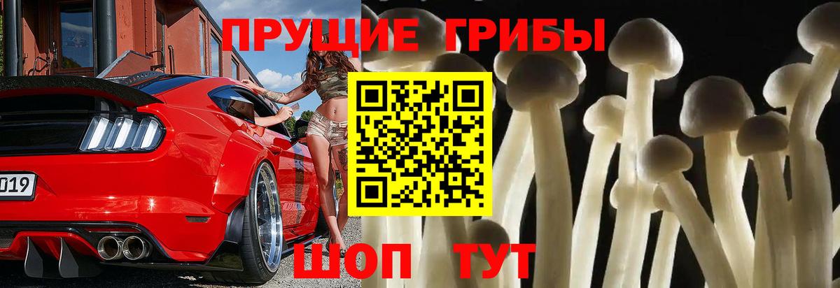 Псилоцибиновые грибы ЛСД Иваново